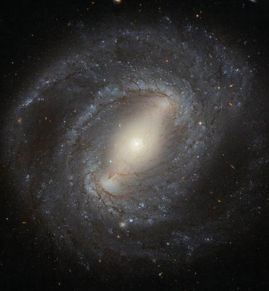 哈勃望远镜拍摄美丽的棒旋星系 核心异常活跃
