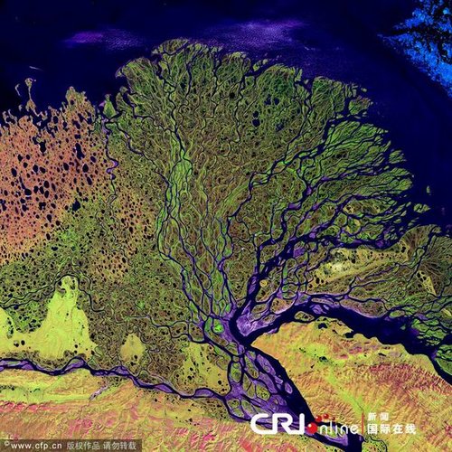 外太空鸟瞰地球河流 尼罗河三角洲像光带(图)