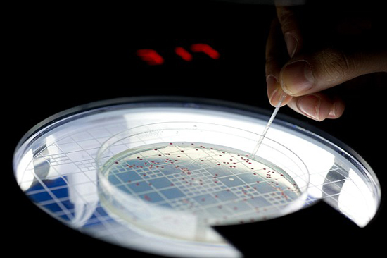 侏罗纪公园培养皿：科学家复活5亿年前细菌