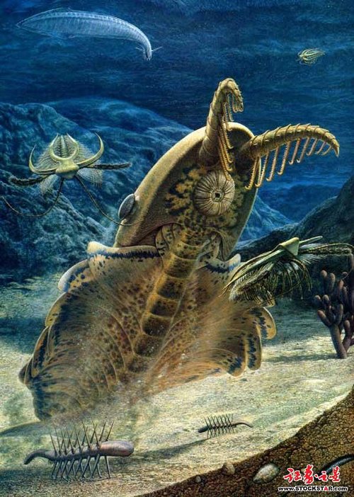 前寒武纪骨骼化石：生物界的第一次捕食活动