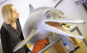 德发现白垩纪恐龙化石 体长3米形似海豚