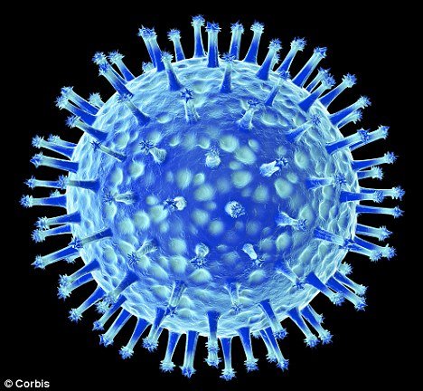 科学家称人工禽流感变种或可消亡人类文明