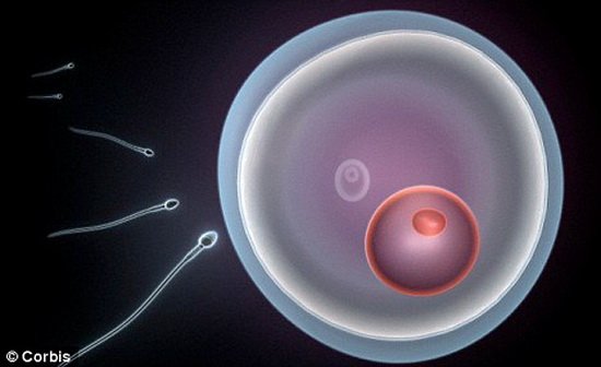 澳研制新型男性避孕措施 使精子无法正常游动