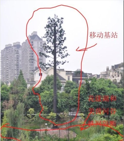 运营商基站潜伏重庆小区:外皮漆成树皮样