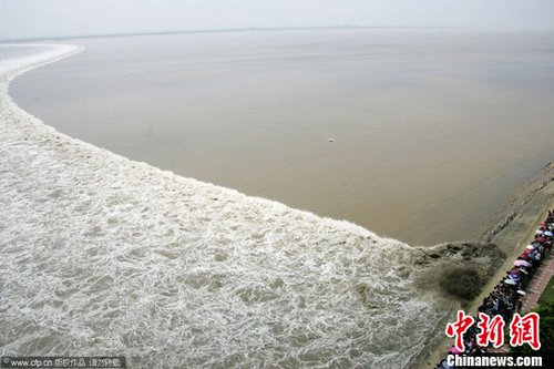 浙江海宁中秋出现壮观“一线潮” 颇具观赏性_科技