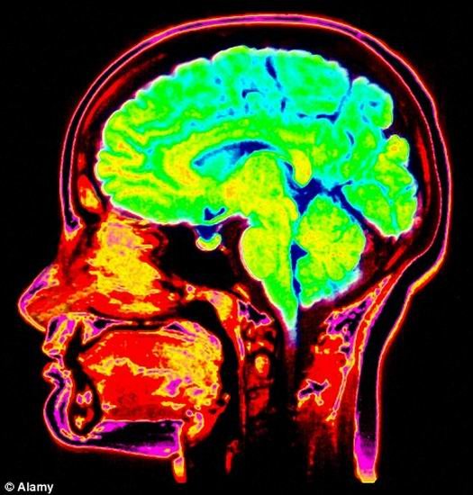 婴儿时期大脑细胞快速发育导致童年回忆缺失