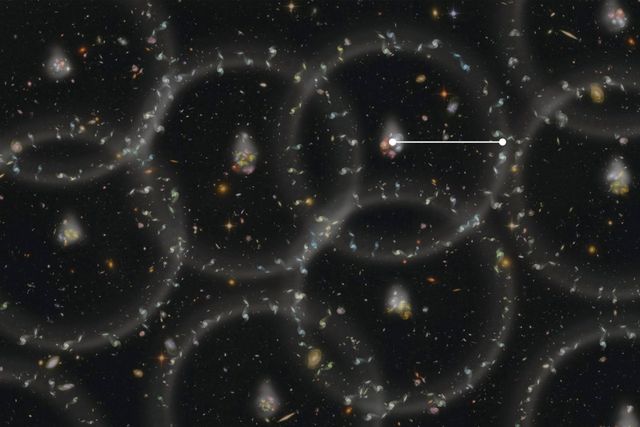 用科学揭开玉米的秘密