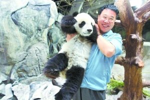 去往四川的大熊猫“大白兔”“小白兔”返京