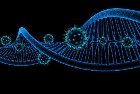 人类基因组中再次“擒获”病毒DNA