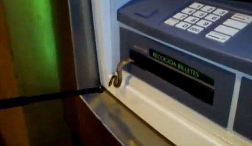 þT߳