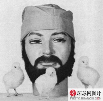 最搞笑诺贝尔奖 可转换成防毒面具的文胸