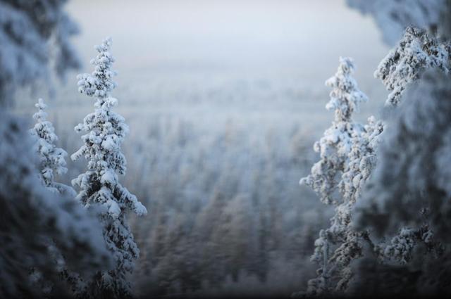 靠寒吃寒！芬兰依天气优势建数据中心