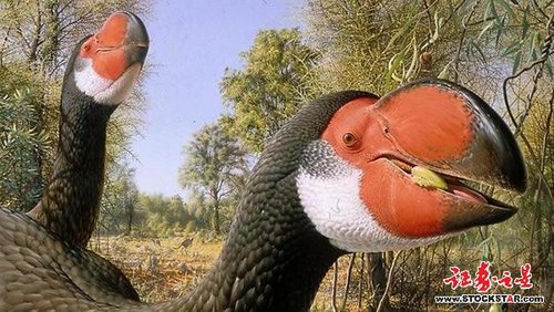 澳大利亚发现不会飞的古巨鸟足迹化石