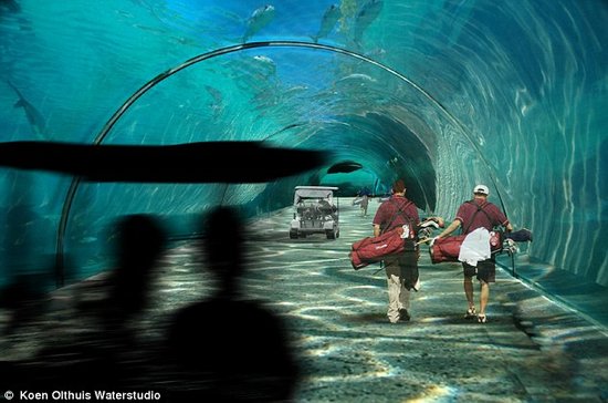 马尔代夫投资3.2亿英镑建造漂浮高尔夫球场_科技