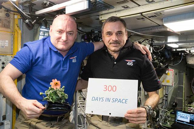 美俄宇航员太空蜗居一年后成功返回地球