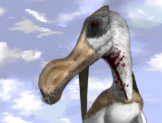 科罗拉多斯翼龙：体型与牙齿的双料冠军(图)