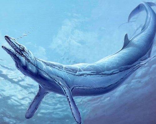 南极发现古老海怪化石 酷似“尼斯湖水怪”_科技