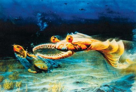 寒武纪时期的海洋霸主：奇虾体长可超2米_科技