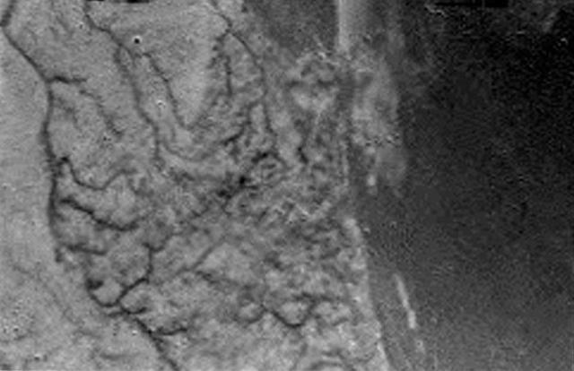 迄今最遥远的登陆：这个小家伙十二年前在另一颗星球上做到了！