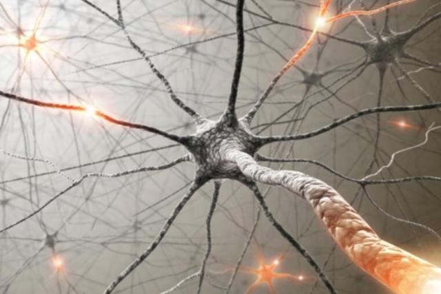 韩国研究团队打造超强人造神经：模仿神经元的学习方式