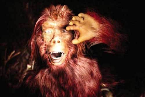 神农架拟鉴定不明毛发 有专家坚信野人存在_科技_腾讯网