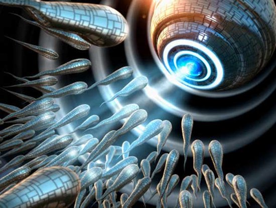 科学家用鼠胚胎干细胞成功培养人造精子