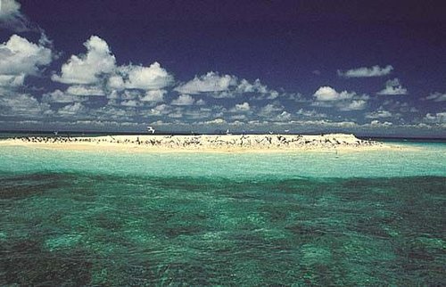 大堡礁海岸