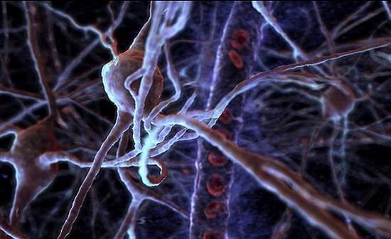 婴儿时期大脑细胞快速发育导致童年回忆缺失