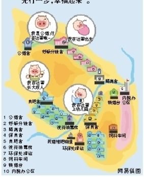 网易首次公布养猪规划设计图 已接到大量订单