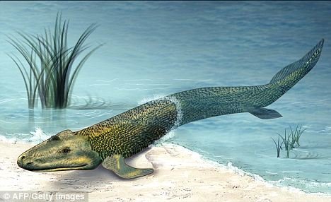 生命起源之谜 彗星潜藏氨基酸“轰炸”地球