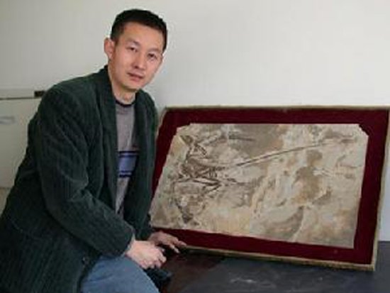 “龙鸟之争”有新解 科学家称始祖鸟并非恐龙