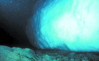 科研人员发现冰山刮蹭海底影响海洋生物生存