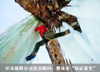全球最怪异蛙类集锦