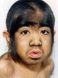 基因所能决定的事_腾讯科技_腾讯网