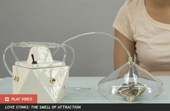 神奇气味摄像机问世 可为你保留记忆中的味道