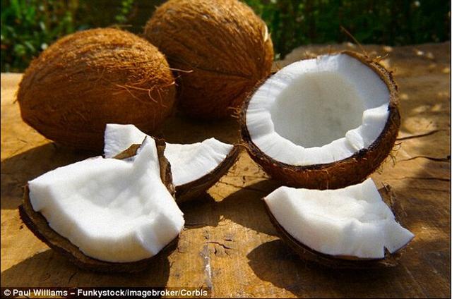 椰子可存储氢气用于制造新一代氢动力汽车