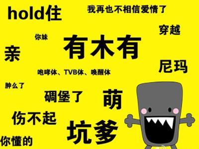 沪政协委员吁减少屌丝等网络语言污染