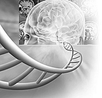 美用DNA制出首个人造神经网络 有助诊断疾病_科技