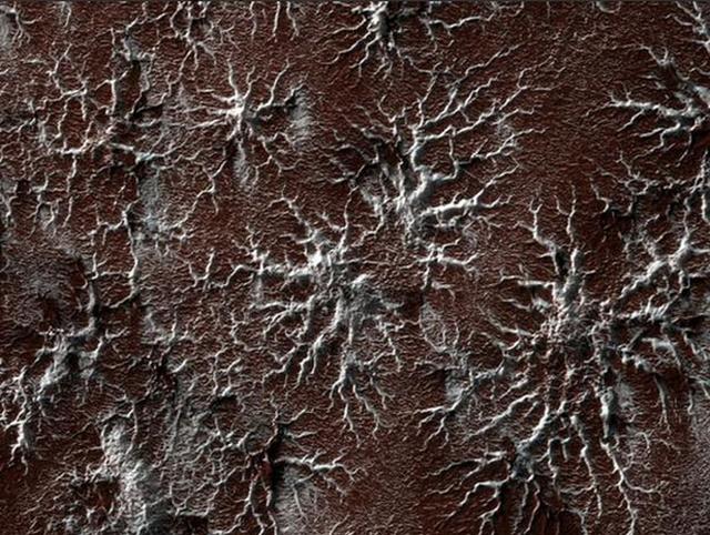 火星南极表面出现“蜘蛛状”地形