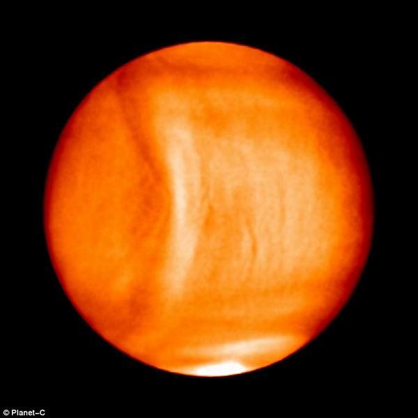 金星大气层中最新发现神秘弓状云层结构