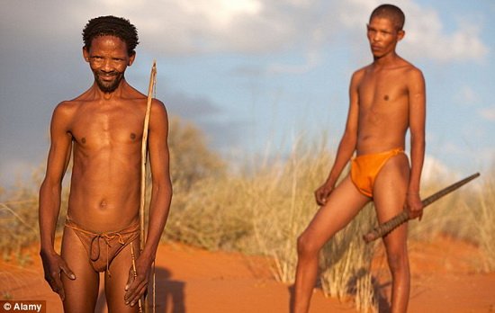 人类祖先并非非洲某地区的“纯种部落”