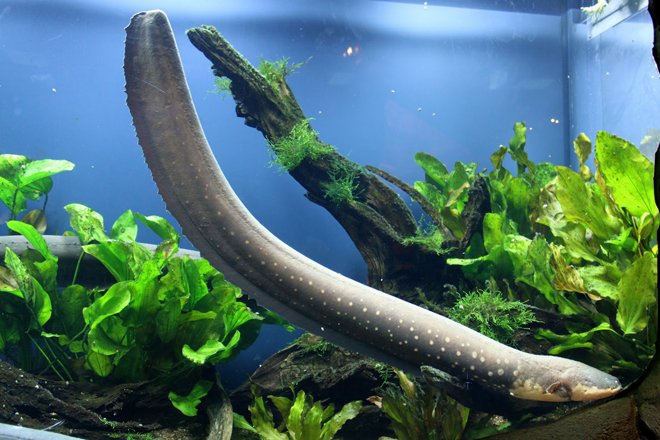 为什么有生物电现象?_腾讯科技_腾讯网