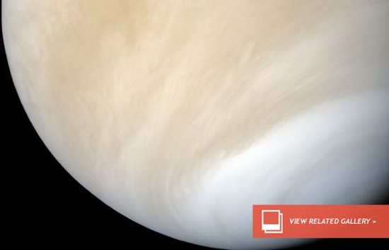 金星云层中或存嗜硫生物：沉浸于硫酸海洋中