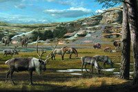 新研究揭露猛犸象和草原野牛冰川期灭绝之谜_科技