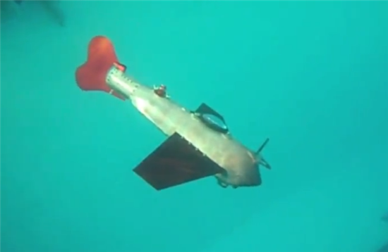 科学家发明可在水中“永久”滑行的机器鱼