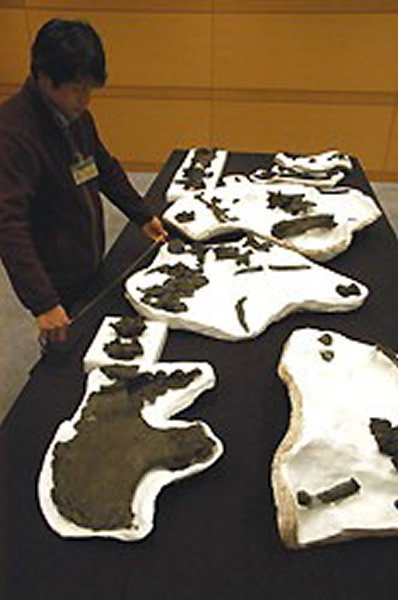 日本长崎县惊现1800万年前罕见史前犀牛化石