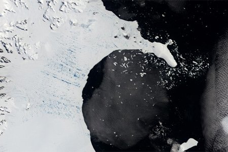 南极半岛一大冰架因全球变暖17年缩水85%(图)