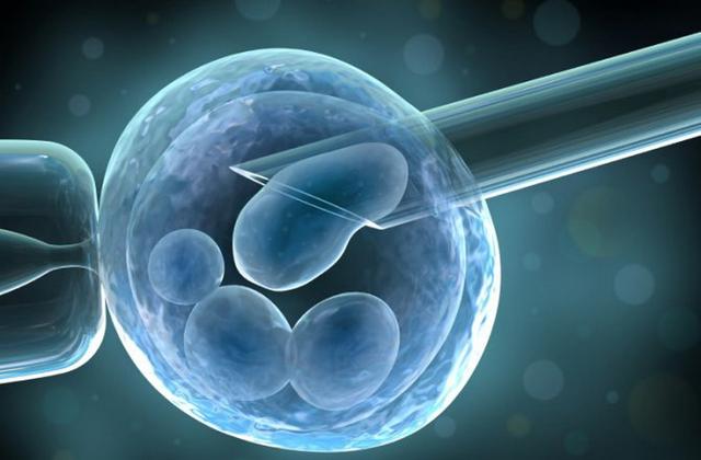 科学家最新研究首次成功克隆成年人细胞