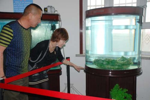 白色和绿色相间的水生物