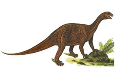 云南发现1.8亿年前侏罗纪恐龙化石